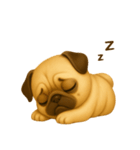 ふわかわ日和：パグ（個別スタンプ：4）