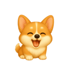 ふわかわ日和：コーギー（個別スタンプ：3）