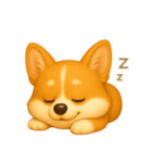 ふわかわ日和：コーギー（個別スタンプ：4）