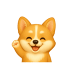 ふわかわ日和：コーギー（個別スタンプ：9）