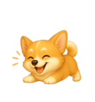 ふわかわ日和：コーギー（個別スタンプ：11）