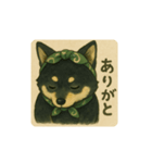 風呂敷巻いた黒柴犬♡（個別スタンプ：1）