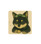 風呂敷巻いた黒柴犬♡（個別スタンプ：5）