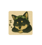 風呂敷巻いた黒柴犬♡（個別スタンプ：8）