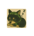 風呂敷巻いた黒柴犬♡（個別スタンプ：20）