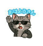 ちょいワル猫の日常スタンプ（個別スタンプ：6）