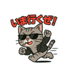 ちょいワル猫の日常スタンプ（個別スタンプ：13）