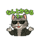ちょいワル猫の日常スタンプ（個別スタンプ：16）
