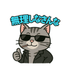 ちょいワル猫の日常スタンプ（個別スタンプ：17）