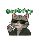 ちょいワル猫の日常スタンプ（個別スタンプ：31）