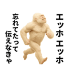 エッホエッホ(ウッホウッホ) 伝えなきゃ（個別スタンプ：17）