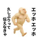 エッホエッホ(ウッホウッホ) 伝えなきゃ（個別スタンプ：24）