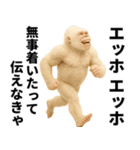 エッホエッホ(ウッホウッホ) 伝えなきゃ（個別スタンプ：25）