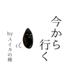 【学生】by スイカの種（個別スタンプ：4）