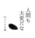 【学生】by スイカの種（個別スタンプ：20）