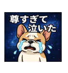 フレンチ・ブルドッグと宇宙の旅@SFW（個別スタンプ：8）