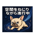 フレンチ・ブルドッグと宇宙の旅@SFW（個別スタンプ：14）