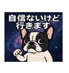 フレンチ・ブルドッグと宇宙の旅@SFW（個別スタンプ：22）