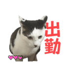 リンタロスァン第5弾（個別スタンプ：5）