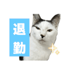 リンタロスァン第5弾（個別スタンプ：6）