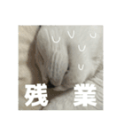 リンタロスァン第5弾（個別スタンプ：7）