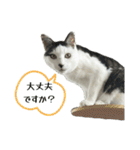 リンタロスァン第5弾（個別スタンプ：10）