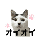 リンタロスァン第5弾（個別スタンプ：11）