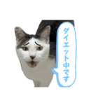 リンタロスァン第5弾（個別スタンプ：13）
