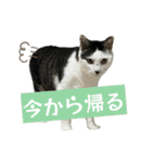 リンタロスァン第5弾（個別スタンプ：14）