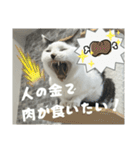 リンタロスァン第5弾（個別スタンプ：19）