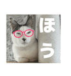リンタロスァン第5弾（個別スタンプ：23）