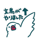 ゆる白文鳥がスタンプをお送りします（個別スタンプ：7）
