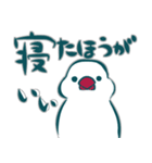 ゆる白文鳥がスタンプをお送りします（個別スタンプ：22）