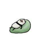 【家族連絡用】豆パンダ（個別スタンプ：39）