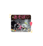 最高に可愛いトイプー♥（個別スタンプ：1）