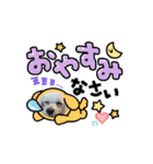 最高に可愛いトイプー♥（個別スタンプ：3）