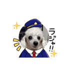 最高に可愛いトイプー♥（個別スタンプ：10）
