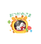 最高に可愛いトイプー♥（個別スタンプ：15）