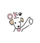 元気なラブラドールmix犬の動くスタンプ v2（個別スタンプ：1）