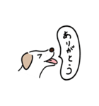 元気なラブラドールmix犬の動くスタンプ v2（個別スタンプ：2）