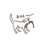 元気なラブラドールmix犬の動くスタンプ v2（個別スタンプ：3）