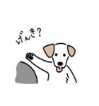 元気なラブラドールmix犬の動くスタンプ v2（個別スタンプ：10）