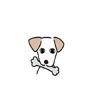 元気なラブラドールmix犬の動くスタンプ v2（個別スタンプ：12）