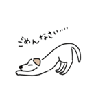 元気なラブラドールmix犬の動くスタンプ v2（個別スタンプ：13）