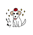 元気なラブラドールmix犬の動くスタンプ v2（個別スタンプ：14）