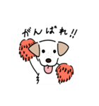 元気なラブラドールmix犬の動くスタンプ v2（個別スタンプ：15）