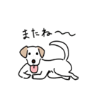 元気なラブラドールmix犬の動くスタンプ v2（個別スタンプ：16）