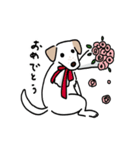 元気なラブラドールmix犬の動くスタンプ v2（個別スタンプ：20）