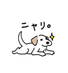元気なラブラドールmix犬の動くスタンプ v2（個別スタンプ：23）