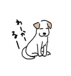 元気なラブラドールmix犬の動くスタンプ v2（個別スタンプ：24）